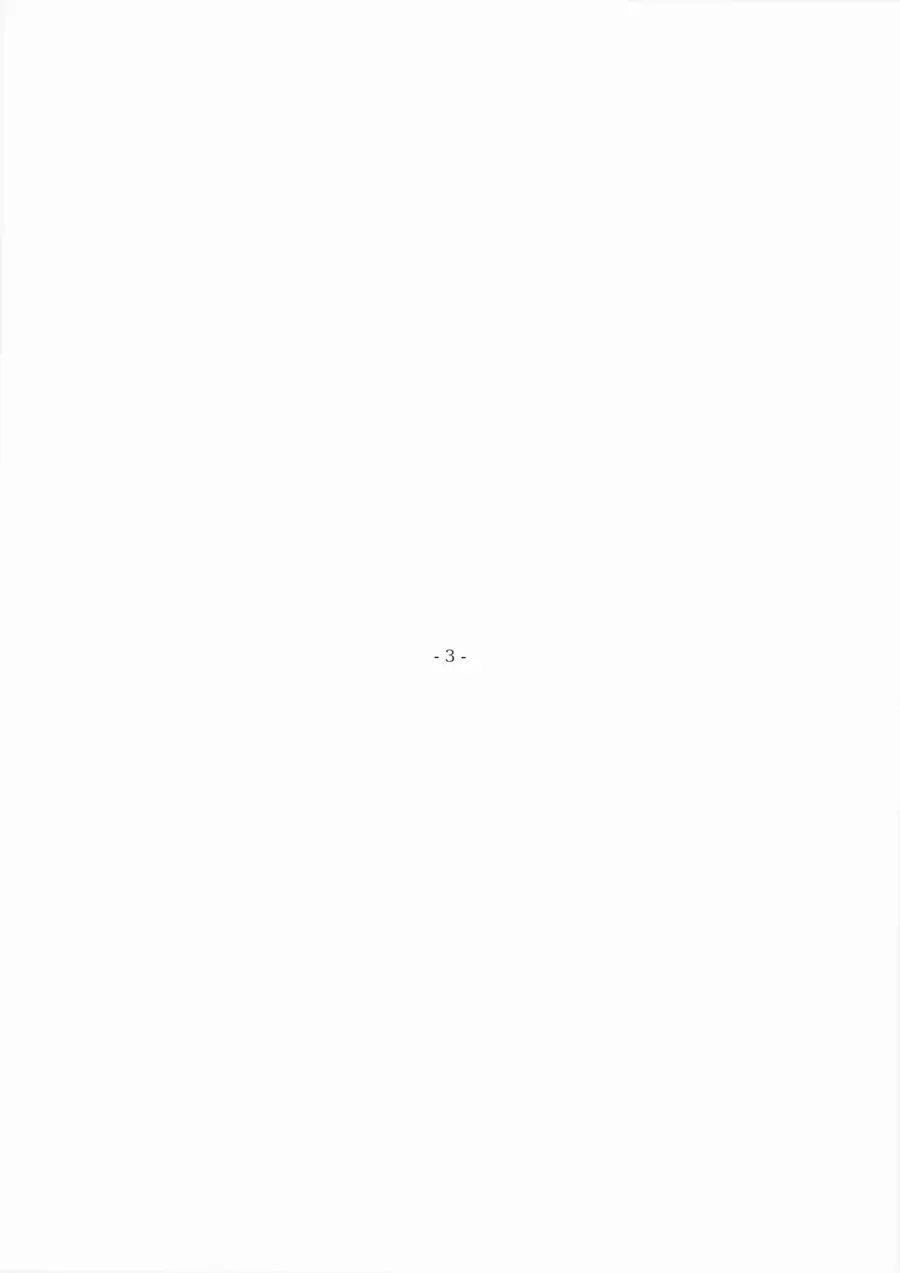Page 3 of the scanned filing